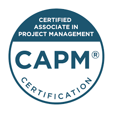 CAPM Online Training and Certification